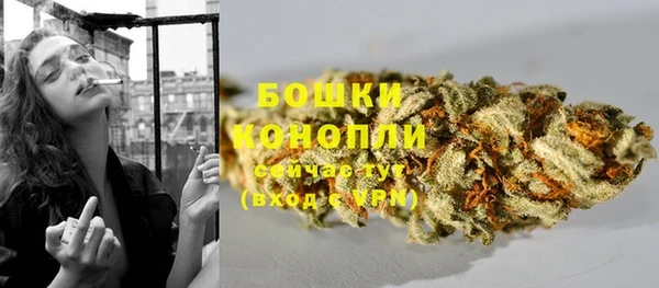 ECSTASY Пестово