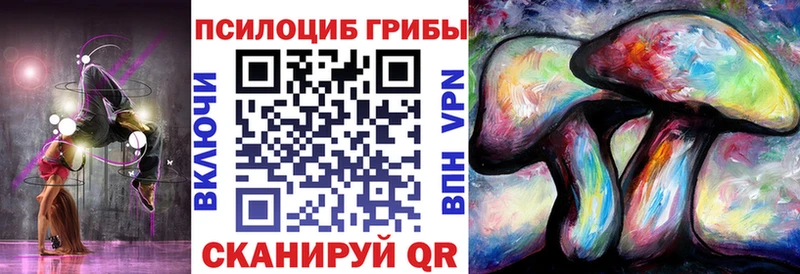 Псилоцибиновые грибы GOLDEN TEACHER  Егорьевск 